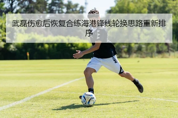 武磊伤愈后恢复合练海港锋线轮换思路重新排序
